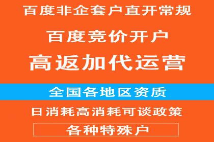 SEM竞价实战技巧，案例讲解与应用